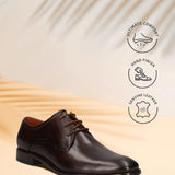 Bugatti Mansueto Flex Dark Brown Premium Leather Comfort Derby Formal Shoes