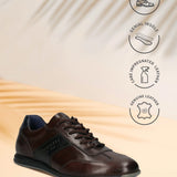 Bugatti Thorello Dark Brown Premium Leather Comfort Sneakers